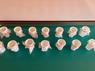 336471925_2801072410029479_411808043493351844_n