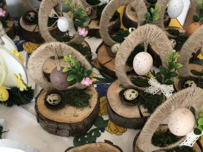 337152530_603996371305113_8074944730321045221_n