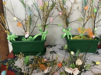 337247096_137705639241148_369894308297119383_n