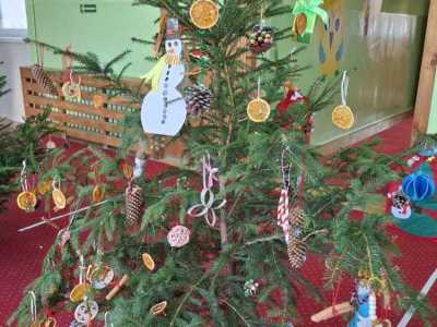 Zdjecie-WhatsApp-2024-12-06-o-20.29.24_2e45cfba