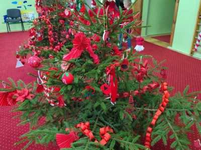 Zdjecie-WhatsApp-2025-12-05-o-14.40.07_a5215616