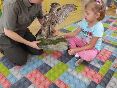 Zdjecie-WhatsApp-2024-11-27-o-10.04.13_c353feaa