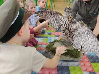 Zdjecie-WhatsApp-2024-11-27-o-10.04.14_2eef229a