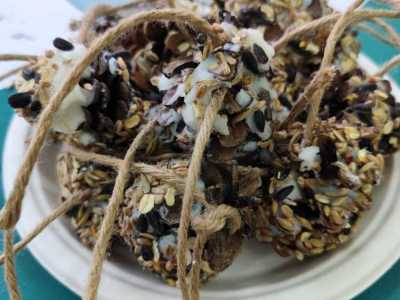 Zdjecie-WhatsApp-2024-11-27-o-10.04.25_5f70461d