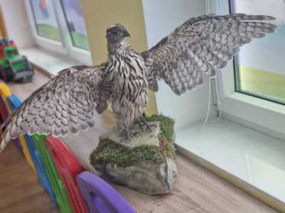 Zdjecie-WhatsApp-2024-11-27-o-10.17.52_282e61e9