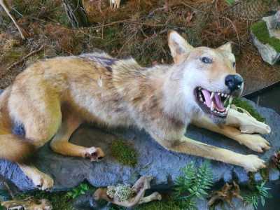 Zdjecie-WhatsApp-2024-05-17-o-10.53.51_166d6415