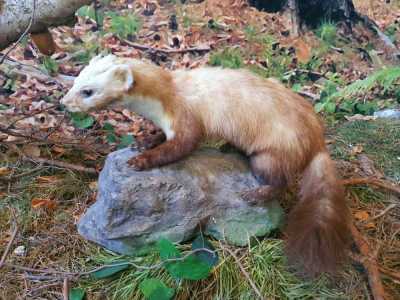 Zdjecie-WhatsApp-2024-05-17-o-10.53.55_b4d5a60a