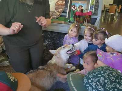 Zdjecie-WhatsApp-2024-05-17-o-10.53.56_510d8f6a