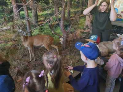 Zdjecie-WhatsApp-2024-05-17-o-10.53.57_781d1e60