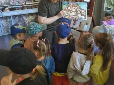 Zdjecie-WhatsApp-2024-05-17-o-10.53.59_07dc9eaa