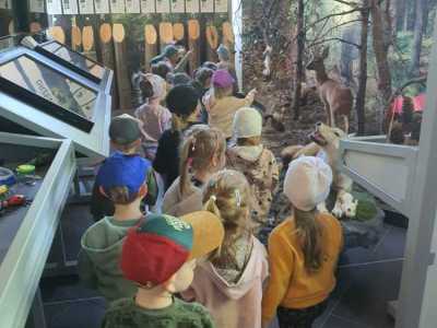 Zdjecie-WhatsApp-2024-05-17-o-10.54.01_0bed02e4