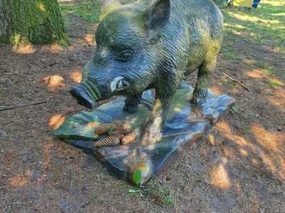 Zdjecie-WhatsApp-2024-05-17-o-10.54.10_bb4c3235