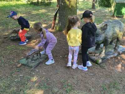 Zdjecie-WhatsApp-2024-05-17-o-10.54.11_c29ebd6f