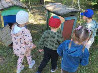 Zdjecie-WhatsApp-2024-05-17-o-10.54.15_687df31c