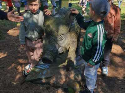 Zdjecie-WhatsApp-2024-05-17-o-10.54.19_69be05cd