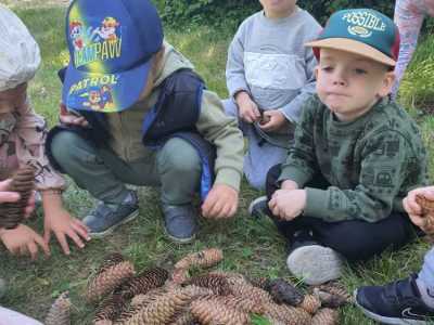 Zdjecie-WhatsApp-2024-05-17-o-10.54.20_95aff0fc