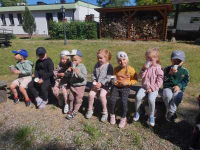 Zdjecie-WhatsApp-2024-05-17-o-10.54.46_019367b6