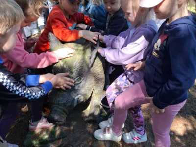 Zdjecie-WhatsApp-2024-05-20-o-09.03.59_152498d1