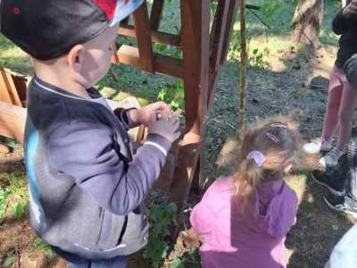 Zdjecie-WhatsApp-2024-05-20-o-09.04.00_79d3672a