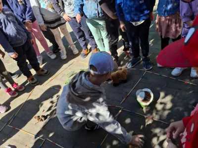 Zdjecie-WhatsApp-2024-05-20-o-09.04.06_0099b183