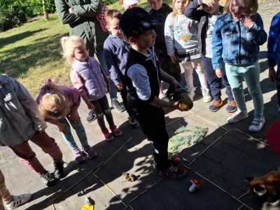 Zdjecie-WhatsApp-2024-05-20-o-09.04.07_ec20bd06