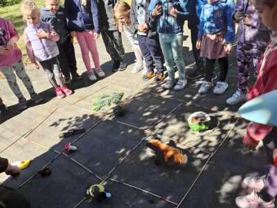 Zdjecie-WhatsApp-2024-05-20-o-09.04.08_2fafa9cf