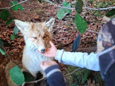 Zdjecie-WhatsApp-2024-05-20-o-09.04.08_376ad9b3