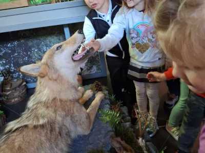 Zdjecie-WhatsApp-2024-05-20-o-09.04.09_8dfda3fa