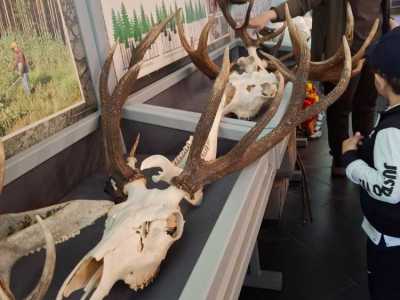 Zdjecie-WhatsApp-2024-05-20-o-09.04.09_ee383dac