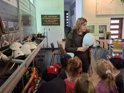 Zdjecie-WhatsApp-2024-05-20-o-09.04.10_1094ef7d