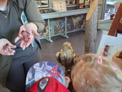 Zdjecie-WhatsApp-2024-05-20-o-09.04.11_0cdae215