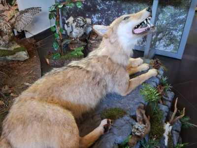 Zdjecie-WhatsApp-2024-05-20-o-09.04.11_28fdc1ef