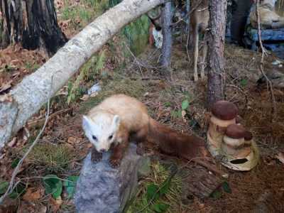 Zdjecie-WhatsApp-2024-05-20-o-09.04.11_b090452c