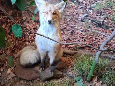 Zdjecie-WhatsApp-2024-05-20-o-09.04.12_db1a954a