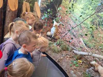 Zdjecie-WhatsApp-2024-05-20-o-09.04.13_5d1264f2