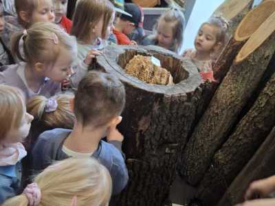 Zdjecie-WhatsApp-2024-05-20-o-09.04.14_30cdc5ff