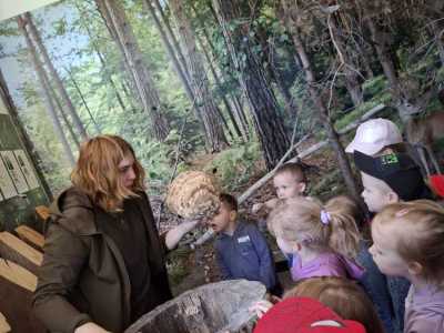 Zdjecie-WhatsApp-2024-05-20-o-09.04.14_7243d059