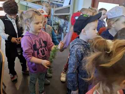 Zdjecie-WhatsApp-2024-05-20-o-09.04.17_8b356574