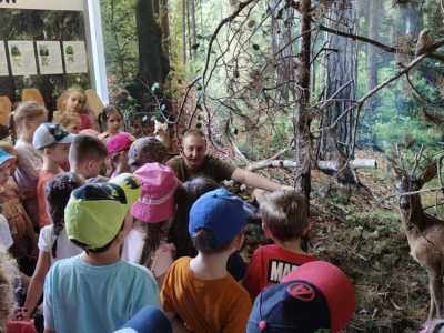 Zdjecie-WhatsApp-2024-05-21-o-14.14.20_c2e5ef13