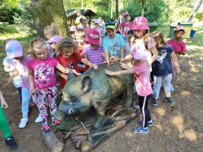 Zdjecie-WhatsApp-2024-05-21-o-14.14.21_b125a984