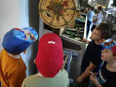 Zdjecie-WhatsApp-2024-05-21-o-14.14.22_999a1b99