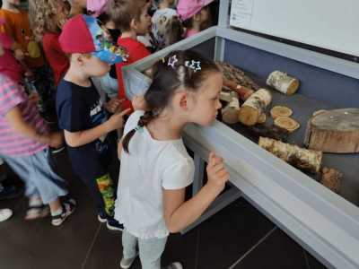 Zdjecie-WhatsApp-2024-05-21-o-14.14.23_a0bff5da