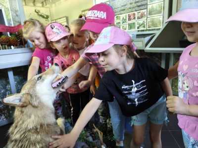 Zdjecie-WhatsApp-2024-05-21-o-14.14.25_774bf939