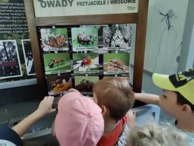 Zdjecie-WhatsApp-2024-05-21-o-14.14.25_8e6acc46