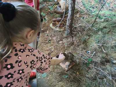 Zdjecie-WhatsApp-2024-05-21-o-14.14.25_c2999432