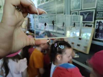 Zdjecie-WhatsApp-2024-05-21-o-14.14.26_172e1d29