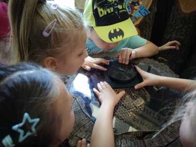 Zdjecie-WhatsApp-2024-05-21-o-14.14.28_b51a52da