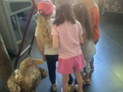 Zdjecie-WhatsApp-2024-06-05-o-14.49.03_706c14a5