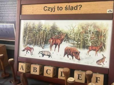 Zdjecie-WhatsApp-2024-06-05-o-14.49.06_5257ff6a