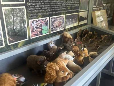 Zdjecie-WhatsApp-2024-06-05-o-14.49.06_8451e2af